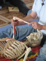 http://www.feldenkraismexico.org Asociación Mexicana del Método Feldenkrais A.C.